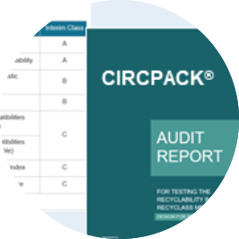 audit report